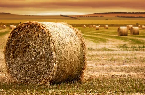 Round Bales