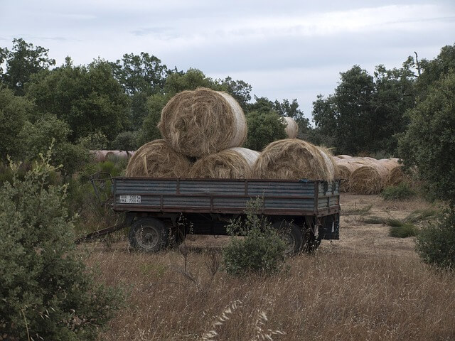 How to Load Hay for Transport: A Practical Guide for Farmers - Minnuo ...
